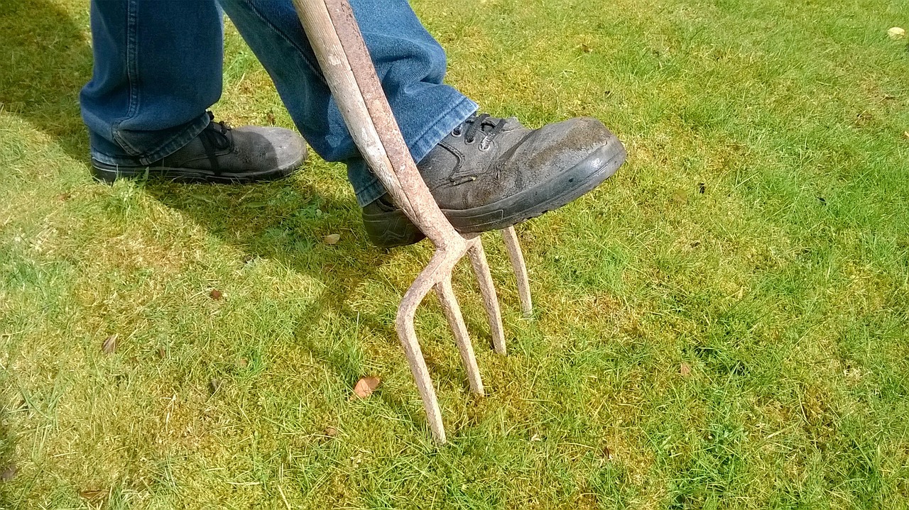 How to Use Manure in Your Garden the Eco-Friendly Way?